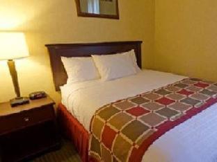 Best Western Plus Ticonderoga Zimmer foto